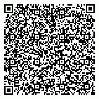 vCard 79519940271