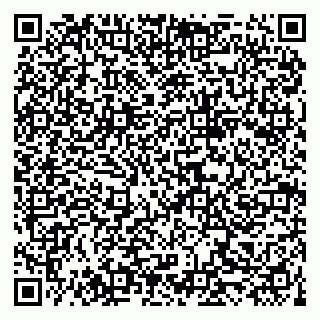 vCard 79519940277