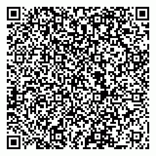 vCard 79519940288