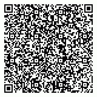 vCard 79519940298