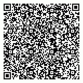vCard 79519940301