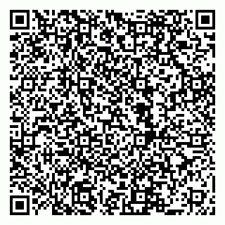 vCard 79519940304