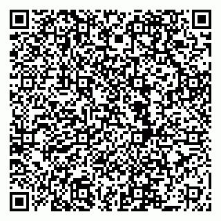 vCard 79519940307