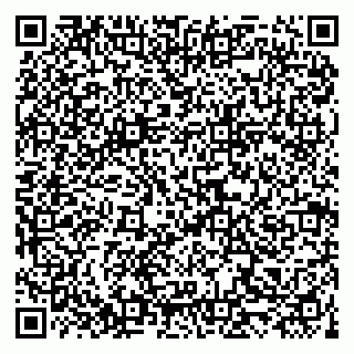 vCard 79519940309