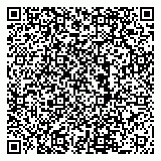 vCard 79519940311