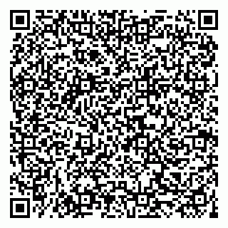 vCard 79519940314