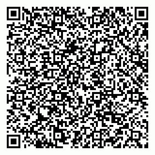 vCard 79519940317