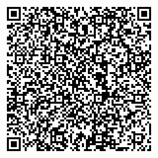 vCard 79519940318