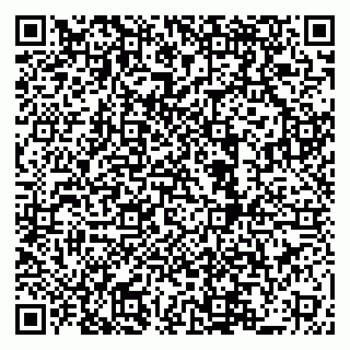 vCard 79519940319