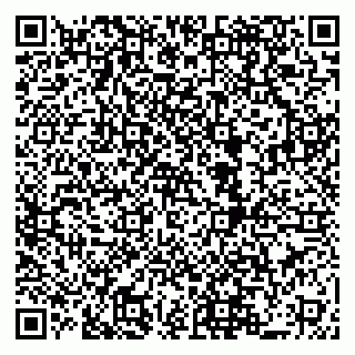 vCard 79519940321
