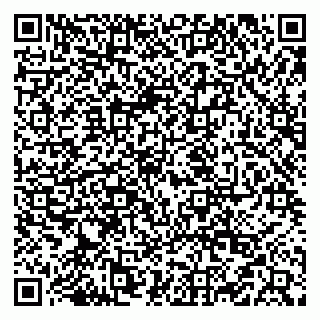 vCard 79519940323