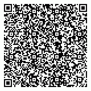 vCard 79519940324