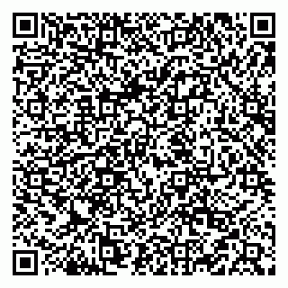 vCard 79519940327