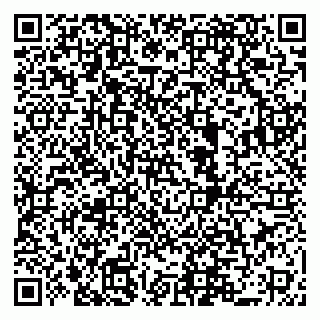 vCard 79519940331