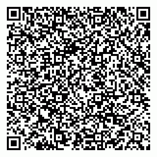 vCard 79519940334