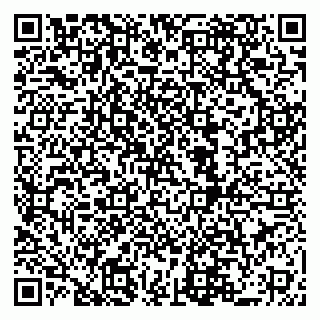 vCard 79519940351