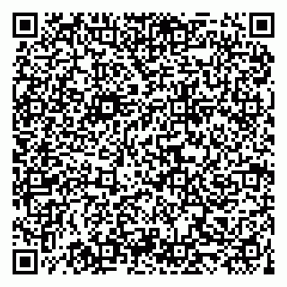 vCard 79519940357