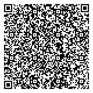 vCard 79519940380