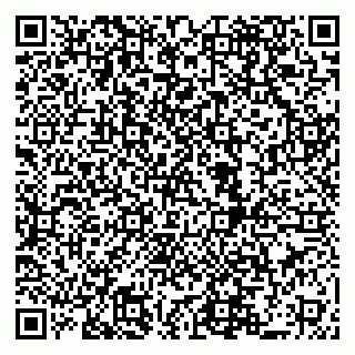 vCard 79519940381