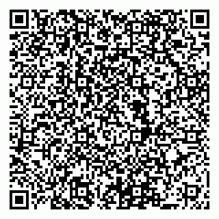 vCard 79519940382