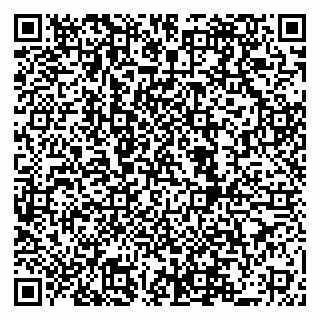 vCard 79519940385