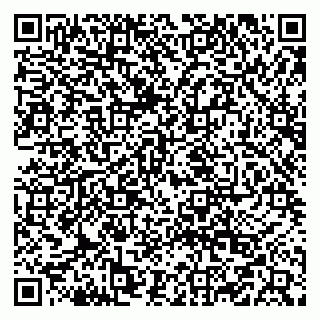 vCard 79519940407