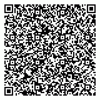 vCard 79519940409