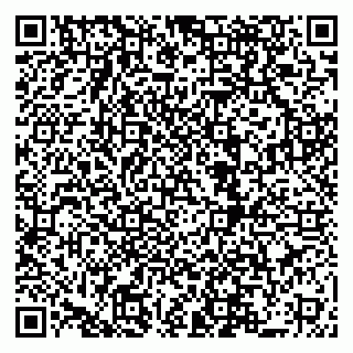 vCard 79519940410