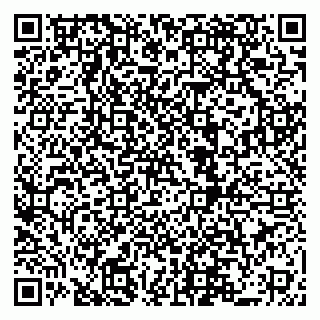 vCard 79519940411