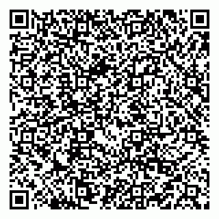 vCard 79519940412