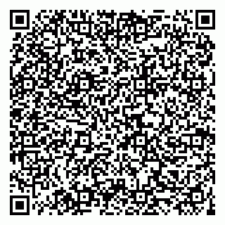 vCard 79519940415