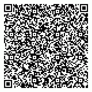 vCard 79519940417