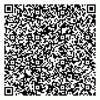 vCard 79519940420