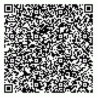 vCard 79519940422