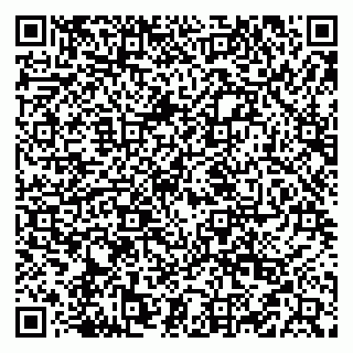 vCard 79519940503
