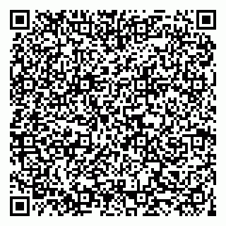 vCard 79519940511