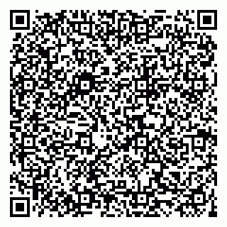 vCard 79519940529
