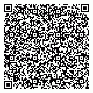vCard 79519940541