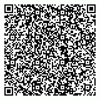 vCard 79519940580