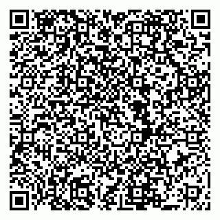 vCard 79519940603