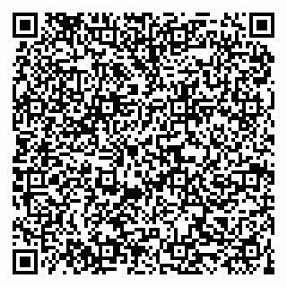 vCard 79519940611