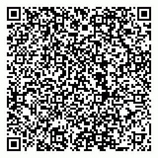 vCard 79519950207