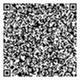 vCard 79519950210