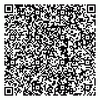 vCard 79519950211