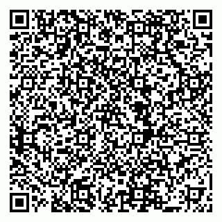 vCard 79519950801