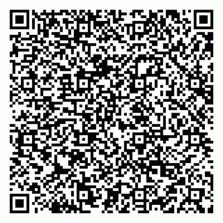vCard 79519950807