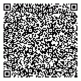 vCard 79519950833
