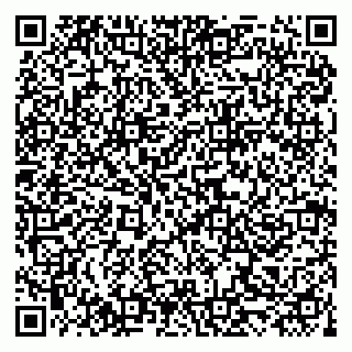 vCard 79519951333