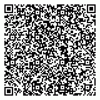 vCard 79519951381