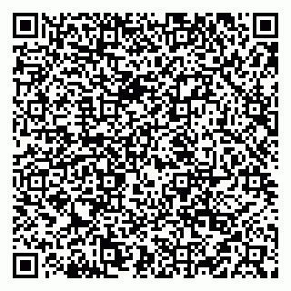 vCard 79519951382
